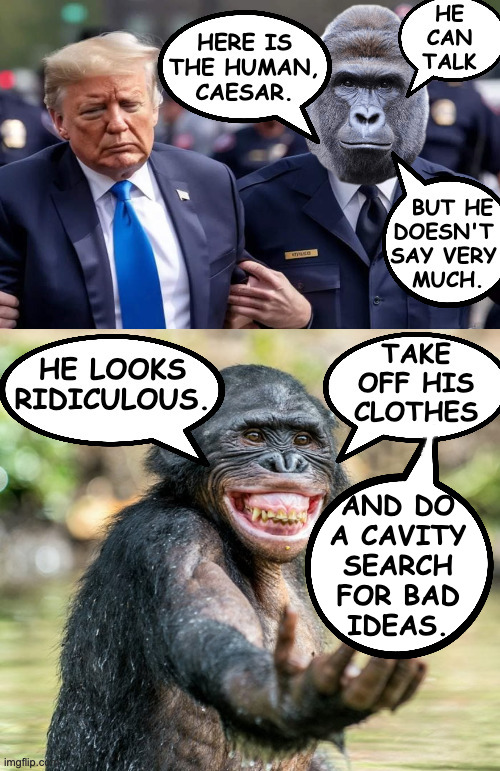 The Upside of the Planet of the Apes. | AND DO
A CAVITY
SEARCH
FOR BAD
IDEAS. | image tagged in memes,planet of the apes,trump | made w/ Imgflip meme maker