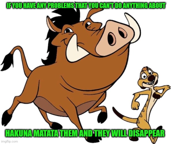 Timon and Pumbaa | IF YOU HAVE ANY PROBLEMS THAT YOU CAN'T DO ANYTHING ABOUT; HAKUNA MATATA THEM AND THEY WILL DISAPPEAR | image tagged in timon and pumbaa,memes,good vibes | made w/ Imgflip meme maker