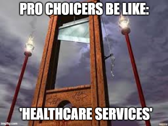 guillotine | PRO CHOICERS BE LIKE:; 'HEALTHCARE SERVICES' | image tagged in guillotine | made w/ Imgflip meme maker