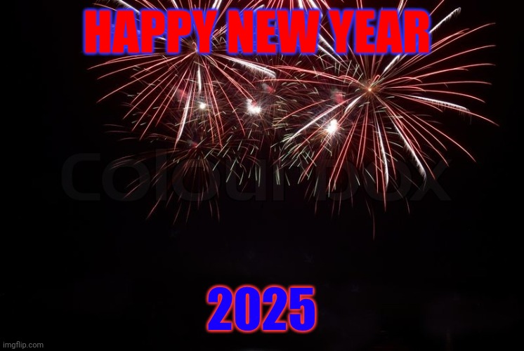 Happy New Year | HAPPY NEW YEAR; 2025 | image tagged in happy new year,funny memes | made w/ Imgflip meme maker