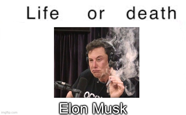 Life or death | Elon Musk | image tagged in life or death | made w/ Imgflip meme maker