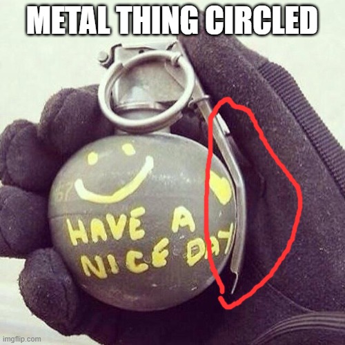 Smiley Grenade | METAL THING CIRCLED | image tagged in smiley grenade | made w/ Imgflip meme maker