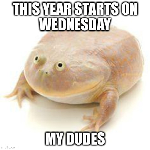 new year frog | THIS YEAR STARTS ON
WEDNESDAY; MY DUDES | image tagged in wednesday frog blank | made w/ Imgflip meme maker