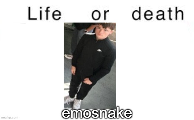 Life or death | emosnake | image tagged in life or death,msmg,memes | made w/ Imgflip meme maker