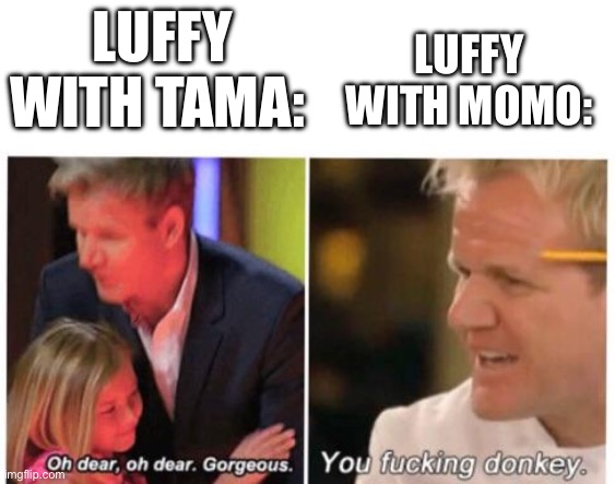 The favouritism! | LUFFY WITH TAMA:; LUFFY WITH MOMO: | image tagged in gordon ramsey donkey gorgeous | made w/ Imgflip meme maker