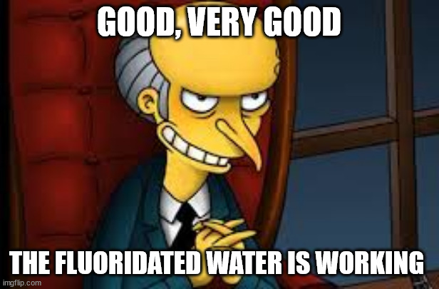 WATER FLOURIDE | GOOD, VERY GOOD; THE FLUORIDATED WATER IS WORKING | image tagged in evil grin | made w/ Imgflip meme maker