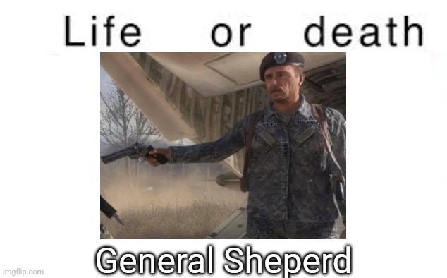 Gonna go off imgflip users for a bit | General Sheperd | image tagged in life or death,msmg,memes | made w/ Imgflip meme maker