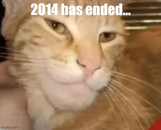 cat mewing | 2014 has ended... | image tagged in cat mewing | made w/ Imgflip meme maker