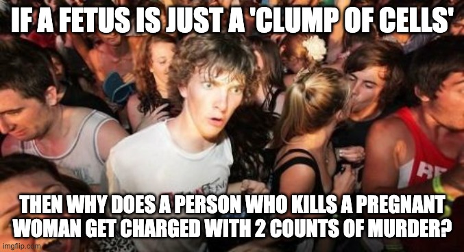 It Can't Be Both Ways | IF A FETUS IS JUST A 'CLUMP OF CELLS'; THEN WHY DOES A PERSON WHO KILLS A PREGNANT WOMAN GET CHARGED WITH 2 COUNTS OF MURDER? | image tagged in memes,sudden clarity clarence | made w/ Imgflip meme maker