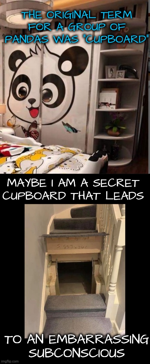 MAYBE I AM A SECRET CUPBOARD THAT LEADS TO AN EMBARRASSING SUBCONSCIOUS THE ORIGINAL TERM FOR A GROUP OF PANDAS WAS "CUPBOARD" | made w/ Imgflip meme maker