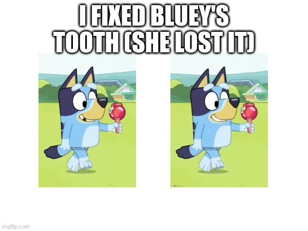 Note: this is not an animation error she lost her tooth but she's kinda ugly | I FIXED BLUEY'S TOOTH (SHE LOST IT) | image tagged in bluey,fix | made w/ Imgflip meme maker