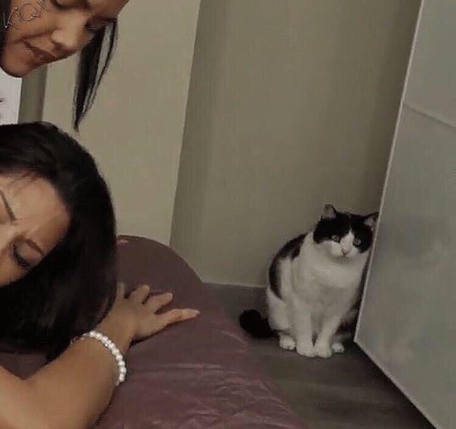 Cat Watching Girls Blank Meme Template