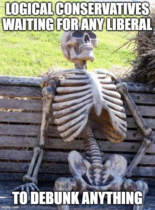 Waiting Skeleton Meme | LOGICAL CONSERVATIVES WAITING FOR ANY LIBERAL TO DEBUNK ANYTHING | image tagged in memes,waiting skeleton | made w/ Imgflip meme maker