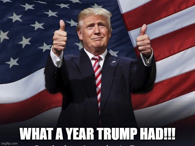 Donald Trump Thumbs Up | WHAT A YEAR TRUMP HAD!!! | image tagged in donald trump thumbs up | made w/ Imgflip meme maker