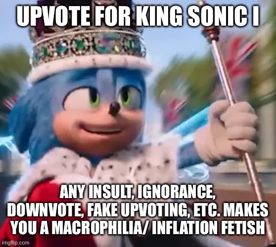 The notifications are gonna blow up like ZAYUMN CAN ANYONE JUST IGNORE? | image tagged in king sonic i | made w/ Imgflip meme maker