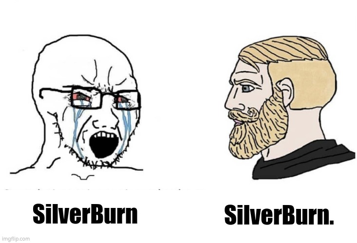 Know The Difference | SilverBurn. SilverBurn | image tagged in soyboy vs yes chad,wojak,expanding brain | made w/ Imgflip meme maker