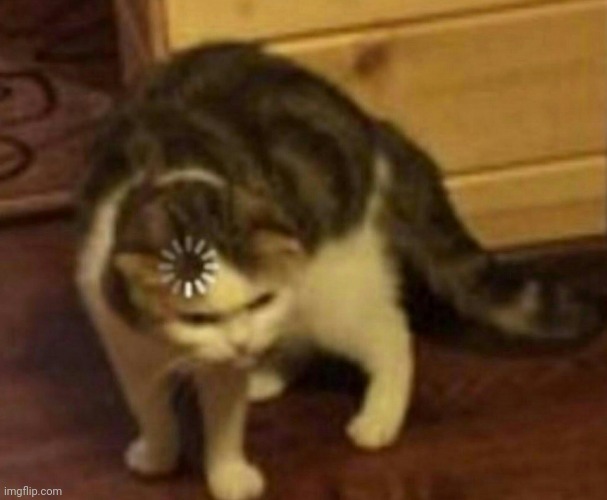 Confused Cat | image tagged in confused cat | made w/ Imgflip meme maker