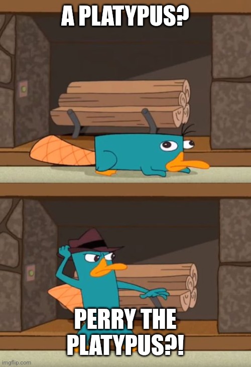 Perry the Platypus | A PLATYPUS? PERRY THE PLATYPUS?! | image tagged in perry the platypus | made w/ Imgflip meme maker