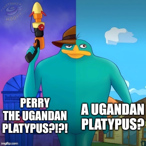 perry | PERRY THE UGANDAN PLATYPUS?!?! A UGANDAN PLATYPUS? | image tagged in perry | made w/ Imgflip meme maker