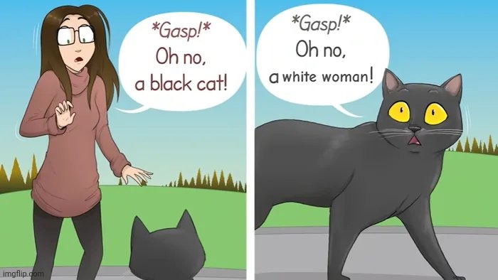 Both Sides Now | image tagged in point of view,crazy cat lady,well yes but actually no,mom pick me up i'm scared | made w/ Imgflip meme maker