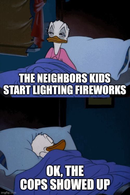 Sleeping Donald Duck | THE NEIGHBORS KIDS START LIGHTING FIREWORKS OK, THE COPS SHOWED UP | image tagged in sleeping donald duck | made w/ Imgflip meme maker