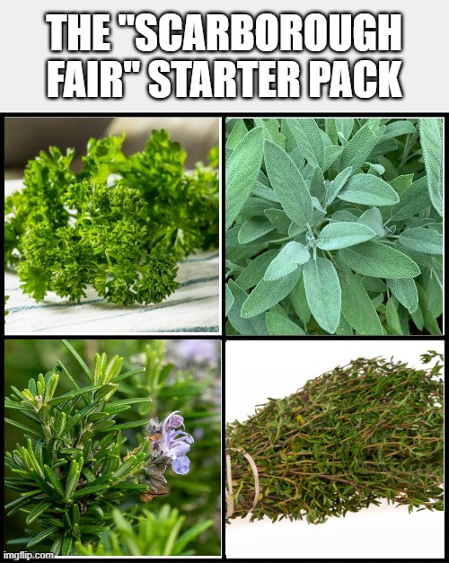 Simon and Garfunkel Sang... | THE "SCARBOROUGH FAIR" STARTER PACK | image tagged in blank drake format | made w/ Imgflip meme maker