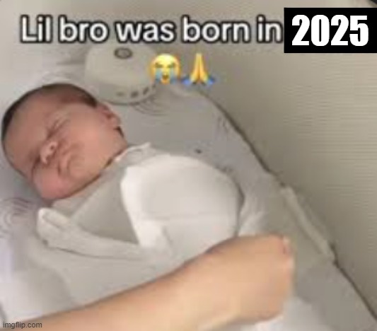 LIL DAWG MISSED THE ENTIRE ELECTION CAMPAIGN | 2025 | image tagged in memes,lil bro was born in 2025,blud missed everything,funny memes | made w/ Imgflip meme maker