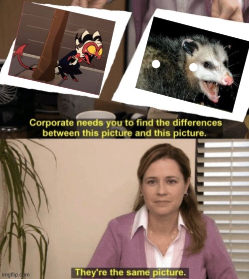 A human called me a possum. I AM NOT A POSSUM! | image tagged in corporate needs you to find the differences,helluva boss,possum | made w/ Imgflip meme maker