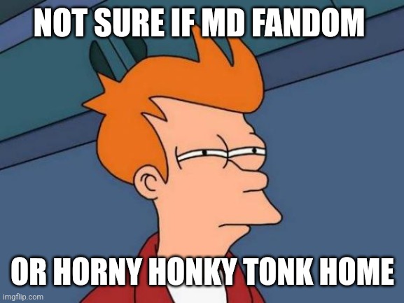 Why do you guys like this stuff? | NOT SURE IF MD FANDOM; OR HORNY HONKY TONK HOME | image tagged in memes,futurama fry | made w/ Imgflip meme maker