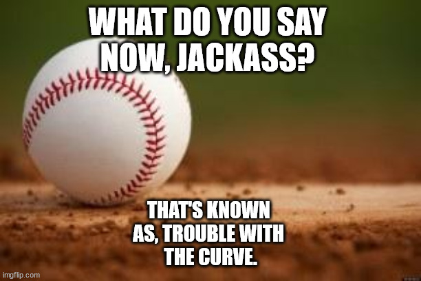 Baseball | WHAT DO YOU SAY 
NOW, JACKASS? THAT'S KNOWN 
AS, TROUBLE WITH 
THE CURVE. | image tagged in baseball | made w/ Imgflip meme maker