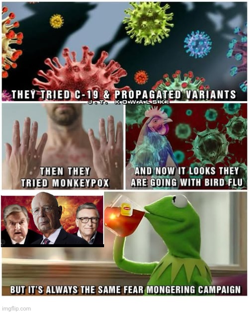 Always the same fear mongering | image tagged in elite,scammers,bird,flu | made w/ Imgflip meme maker