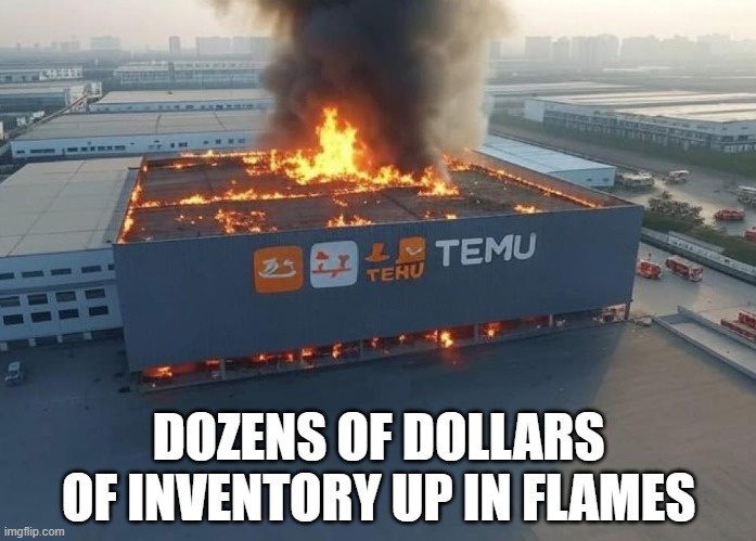 Dozens of Dollars of Inventory Up in Flames | DOZENS OF DOLLARS OF INVENTORY UP IN FLAMES | image tagged in temu,flames,inventory | made w/ Imgflip meme maker