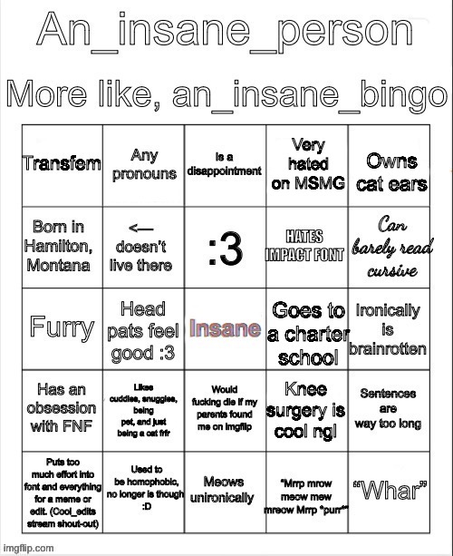 An insane bingo (new years day 2025) Blank Meme Template