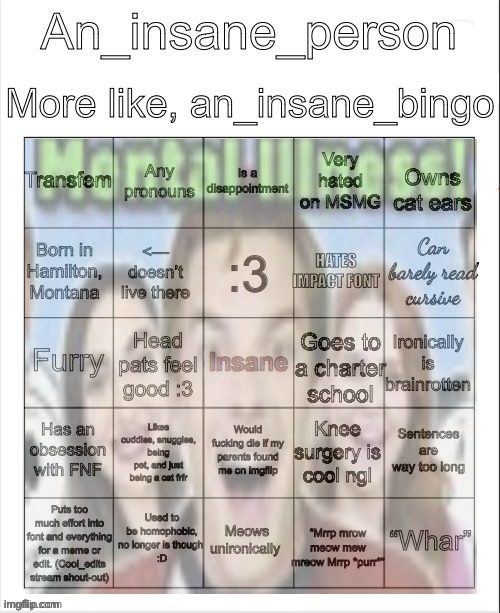 An insane bingo (new years day 2025) | image tagged in an insane bingo new years day 2025 | made w/ Imgflip meme maker