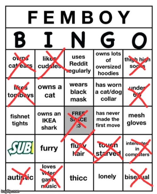 Femboy Bingo | image tagged in femboy bingo | made w/ Imgflip meme maker