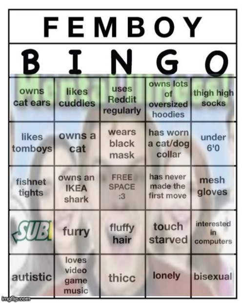 Femboy Bingo | image tagged in femboy bingo | made w/ Imgflip meme maker