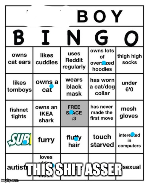 Femboy Bingo | THIS SHIT ASSER | image tagged in femboy bingo | made w/ Imgflip meme maker