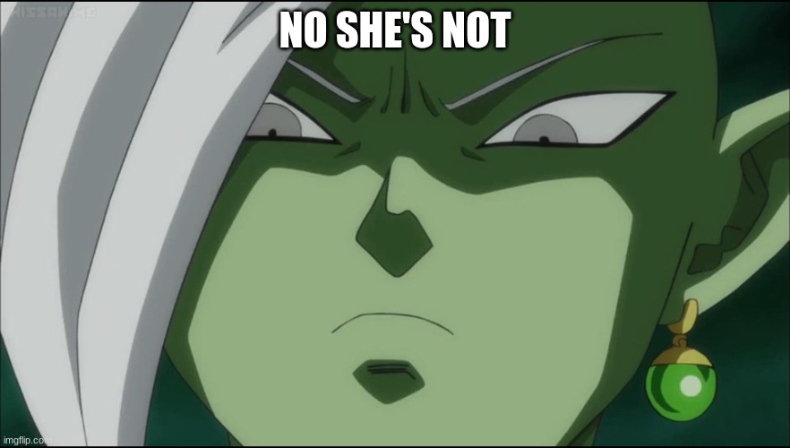 Zamasu Seriously!  | NO SHE'S NOT | image tagged in zamasu seriously | made w/ Imgflip meme maker