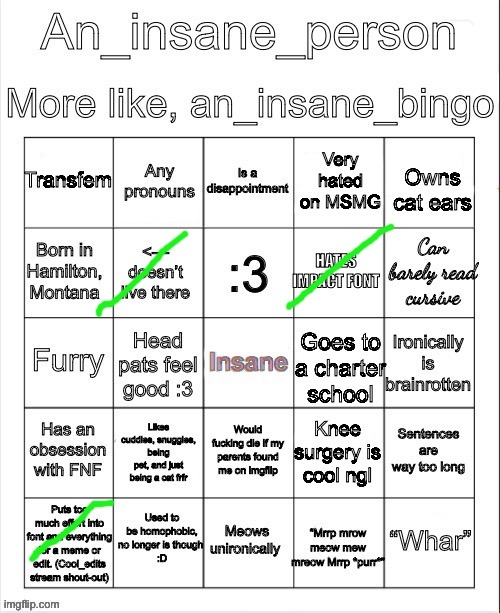 An insane bingo (new years day 2025) | image tagged in an insane bingo new years day 2025 | made w/ Imgflip meme maker