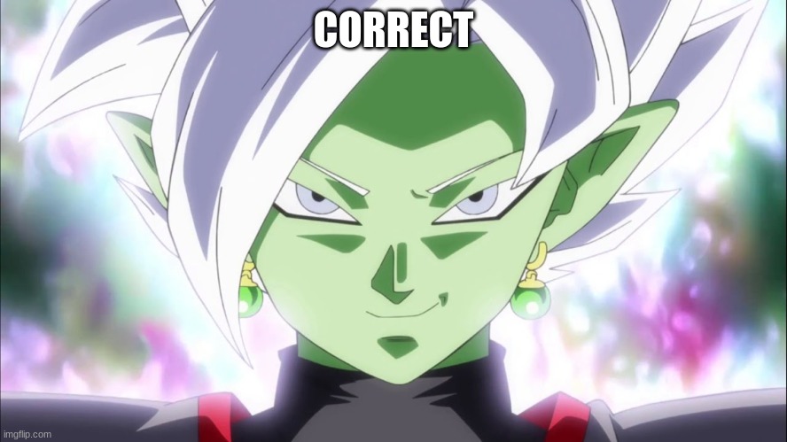 Zamasu | CORRECT | image tagged in zamasu | made w/ Imgflip meme maker