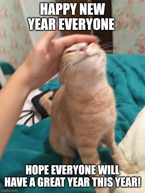 :3 | HAPPY NEW YEAR EVERYONE; HOPE EVERYONE WILL HAVE A GREAT YEAR THIS YEAR! | image tagged in cat pat | made w/ Imgflip meme maker