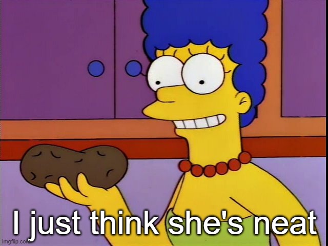 Blank “I just think its neat” | I just think she's neat | image tagged in blank i just think its neat | made w/ Imgflip meme maker