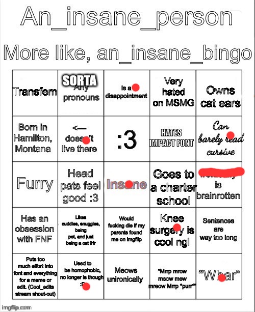 An insane bingo (new years day 2025) | SORTA | image tagged in an insane bingo new years day 2025 | made w/ Imgflip meme maker