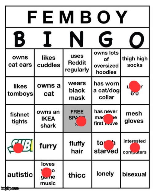 Femboy Bingo | image tagged in femboy bingo | made w/ Imgflip meme maker