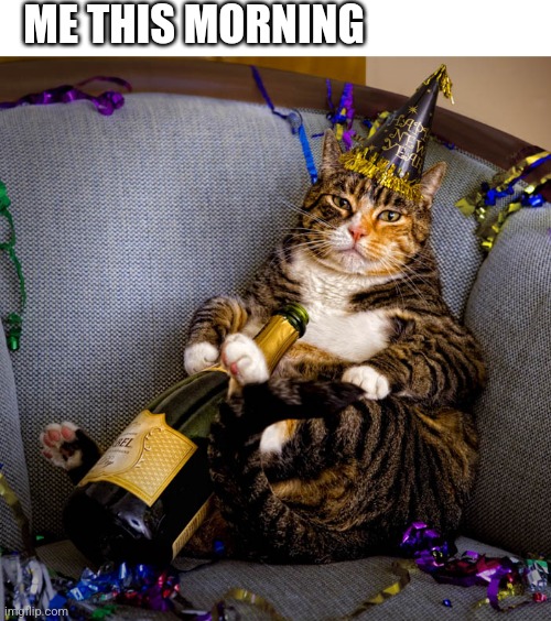 At 11am lol | ME THIS MORNING | image tagged in cat,happy new year | made w/ Imgflip meme maker