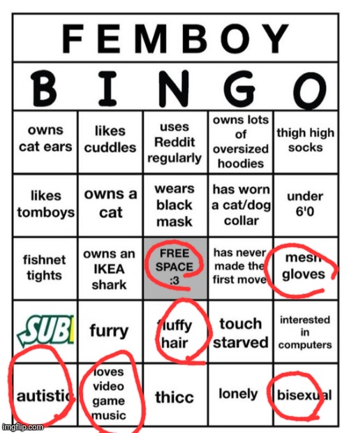 Femboy Bingo | image tagged in femboy bingo | made w/ Imgflip meme maker