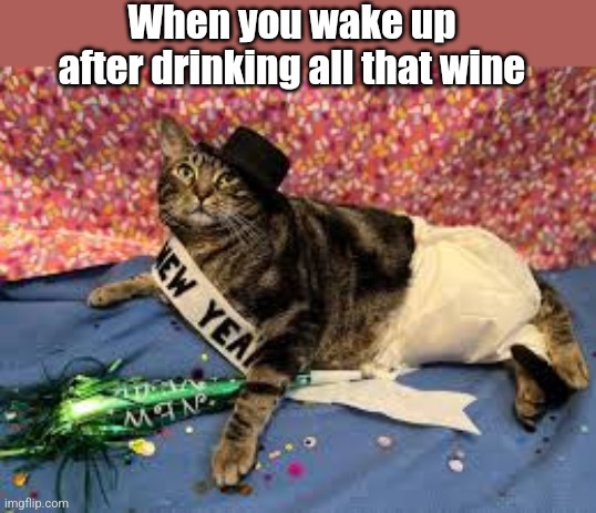 No more wine for the rest of the year | When you wake up after drinking all that wine | image tagged in cat,new years | made w/ Imgflip meme maker