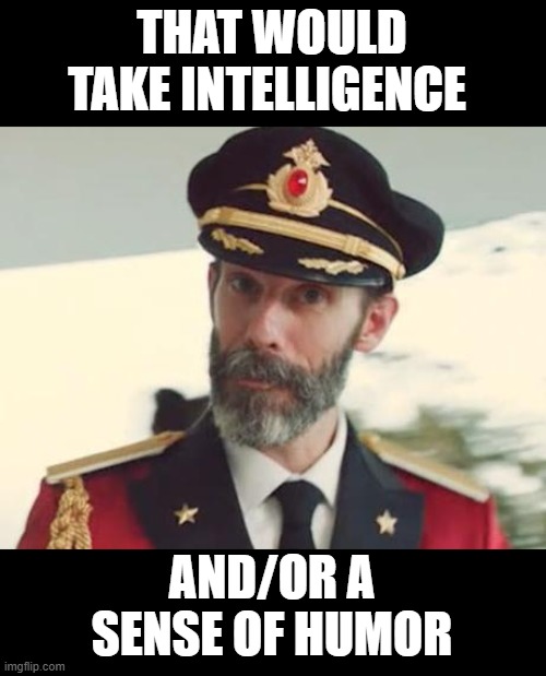 Captain Obvious | THAT WOULD TAKE INTELLIGENCE AND/OR A SENSE OF HUMOR | image tagged in captain obvious | made w/ Imgflip meme maker