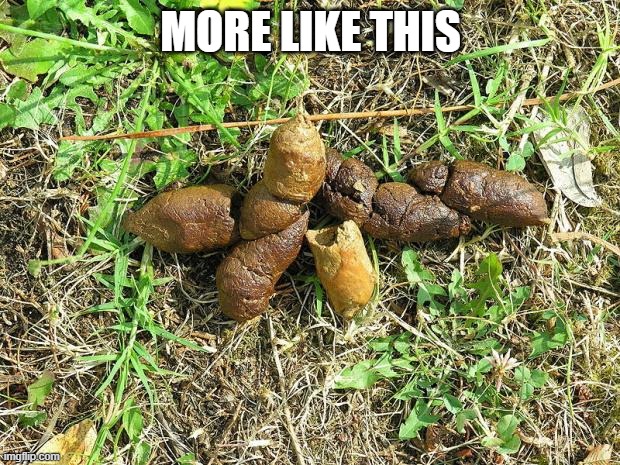 dog turd | MORE LIKE THIS | image tagged in dog turd | made w/ Imgflip meme maker