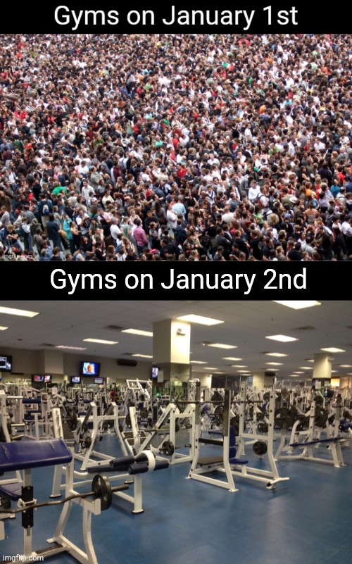 And that's why I avoid new years resolutions, I get used to quitting. | Gyms on January 2nd | image tagged in empty gym | made w/ Imgflip meme maker